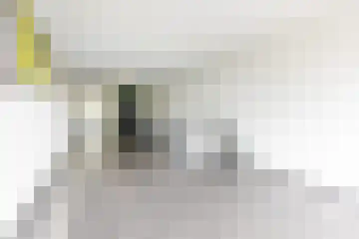 Telemannhof 61 Amersfoort thumbnail 4