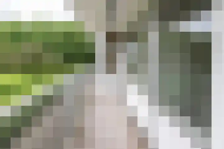 Telemannstraat 113 Zwolle thumbnail 10