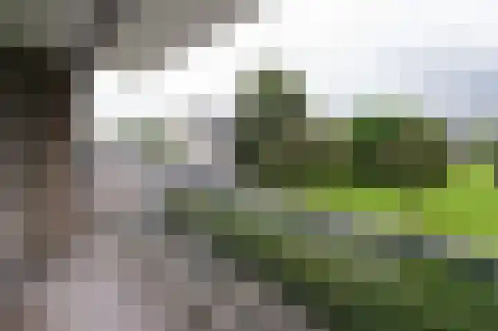 Telemannstraat 113 Zwolle thumbnail 11