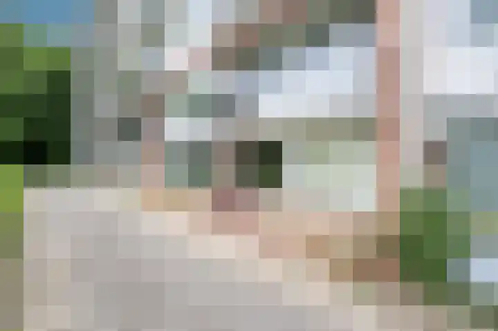 Telemannstraat 113 Zwolle thumbnail 30