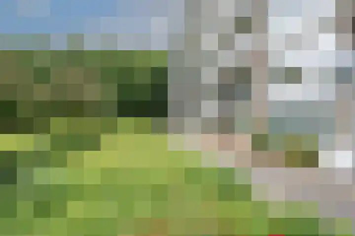 Telemannstraat 113 Zwolle thumbnail 31