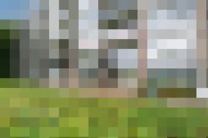 Telemannstraat 113 Zwolle thumbnail 38