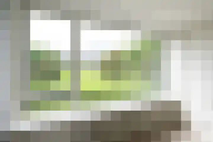 Telemannstraat 113 Zwolle thumbnail 4
