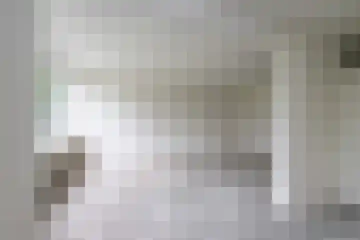 Telemannstraat 113 Zwolle thumbnail 7