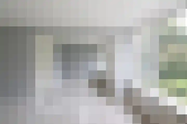 Telemannstraat 113 Zwolle thumbnail 8