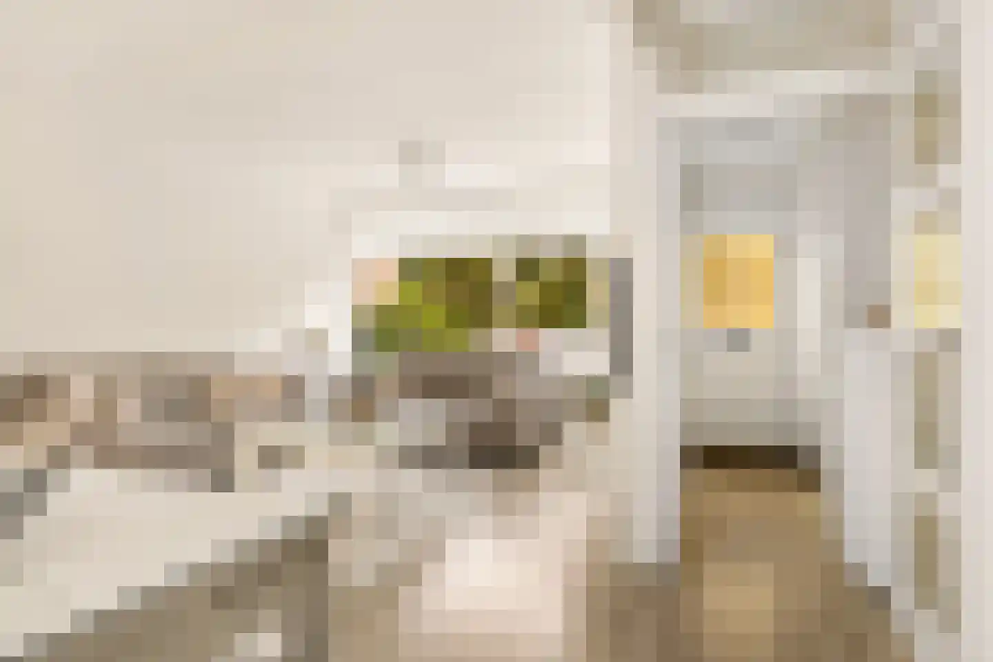 Telemannstraat 118 Zwolle thumbnail 12