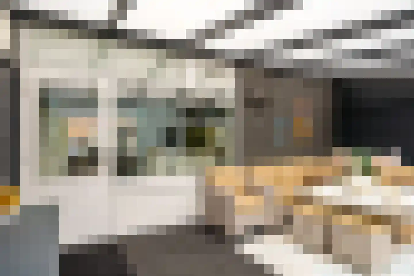 Telemannstraat 118 Zwolle thumbnail 32
