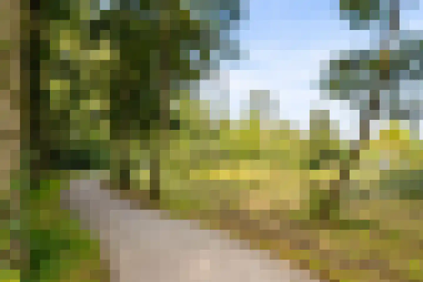 Telemannstraat 118 Zwolle thumbnail 46