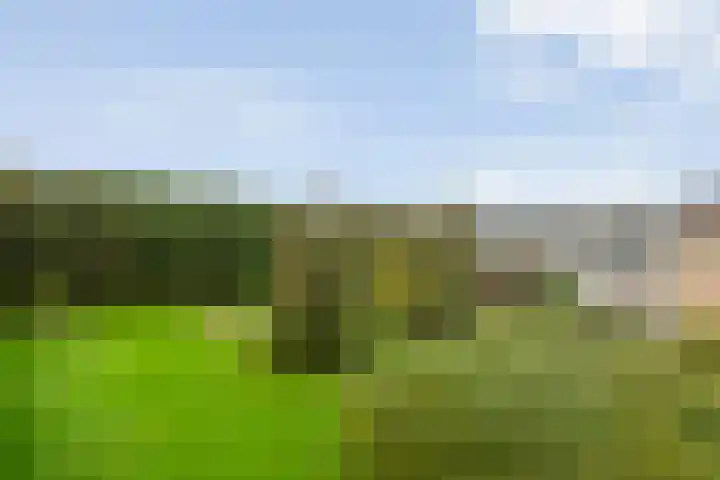Telemannstraat 153 Zwolle thumbnail 4