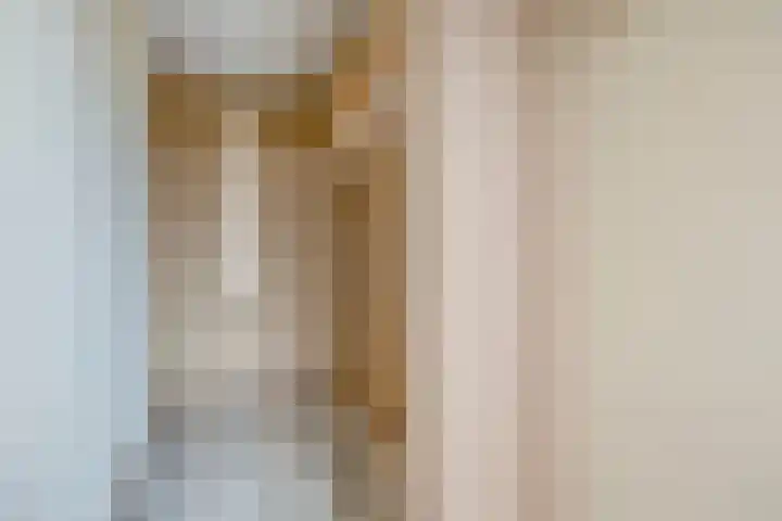 Telemannstraat 163 Zwolle thumbnail 6