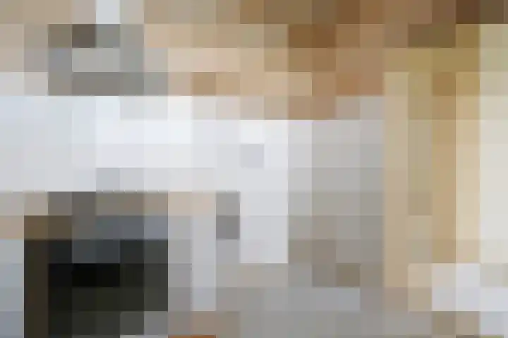 Telemannstraat 169 Zwolle thumbnail 8