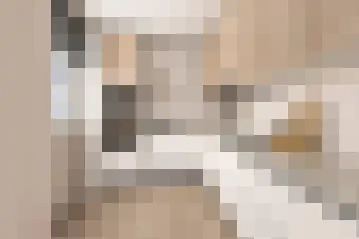 Telemannstraat 17 Zwolle thumbnail 4