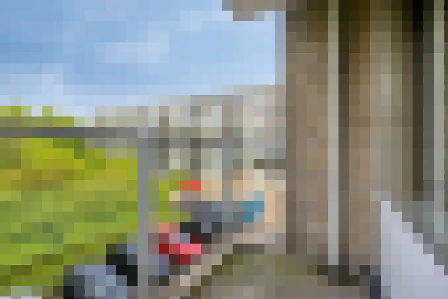 Telemannstraat 199 Zwolle thumbnail 26