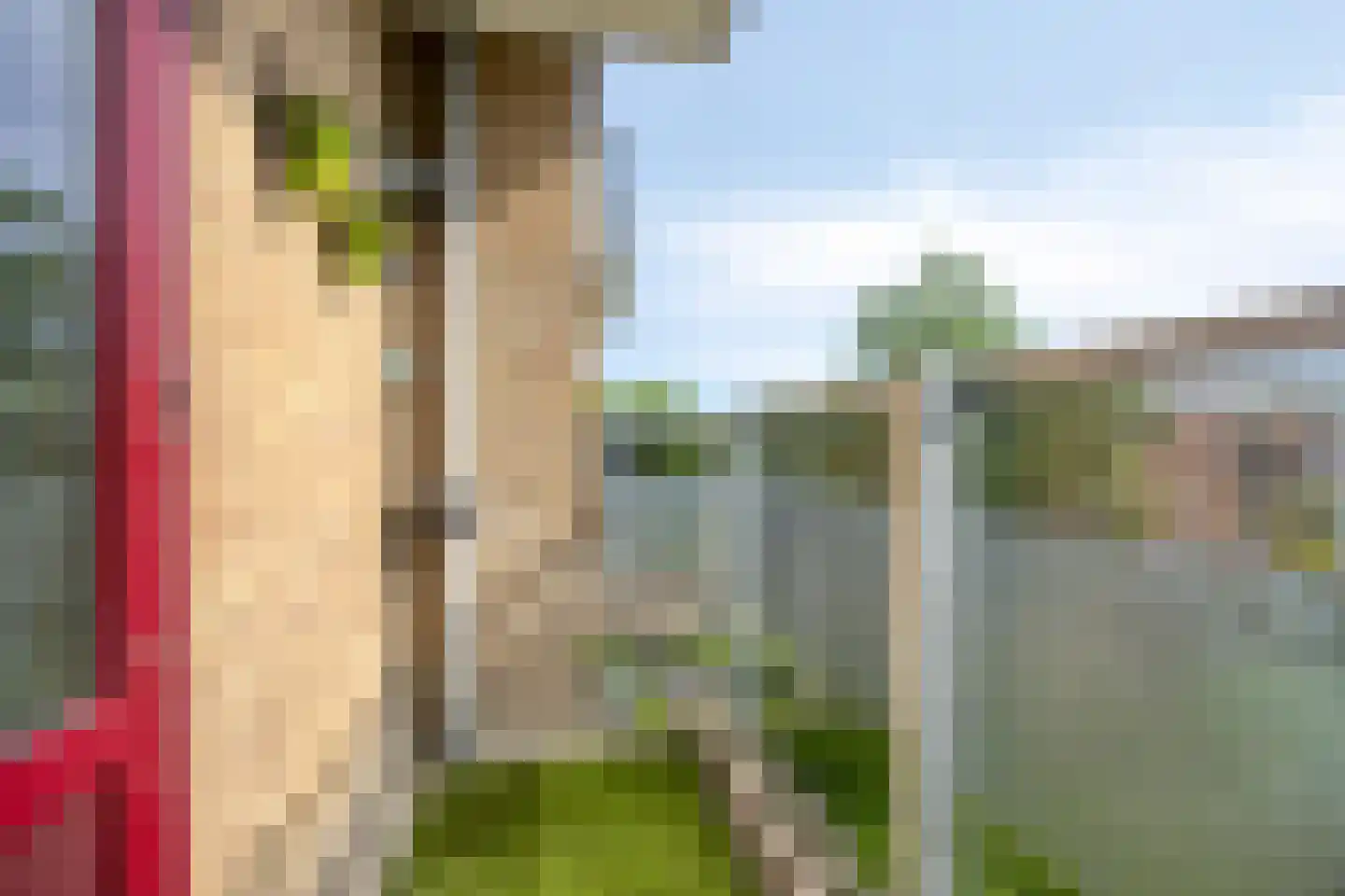 Telemannstraat 199 Zwolle thumbnail 30