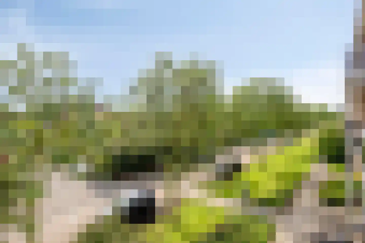 Telemannstraat 199 Zwolle thumbnail 32
