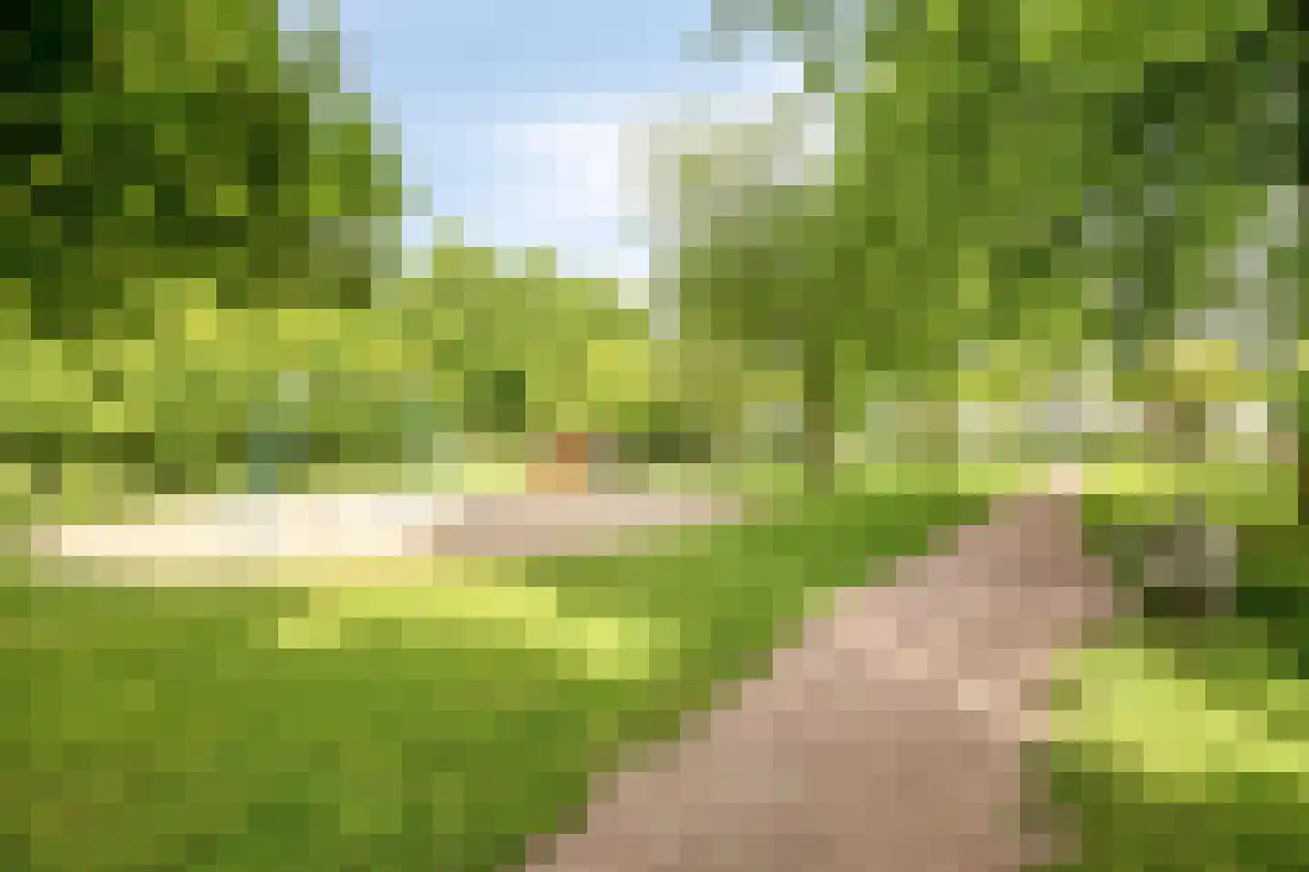 Telemannstraat 199 Zwolle thumbnail 34