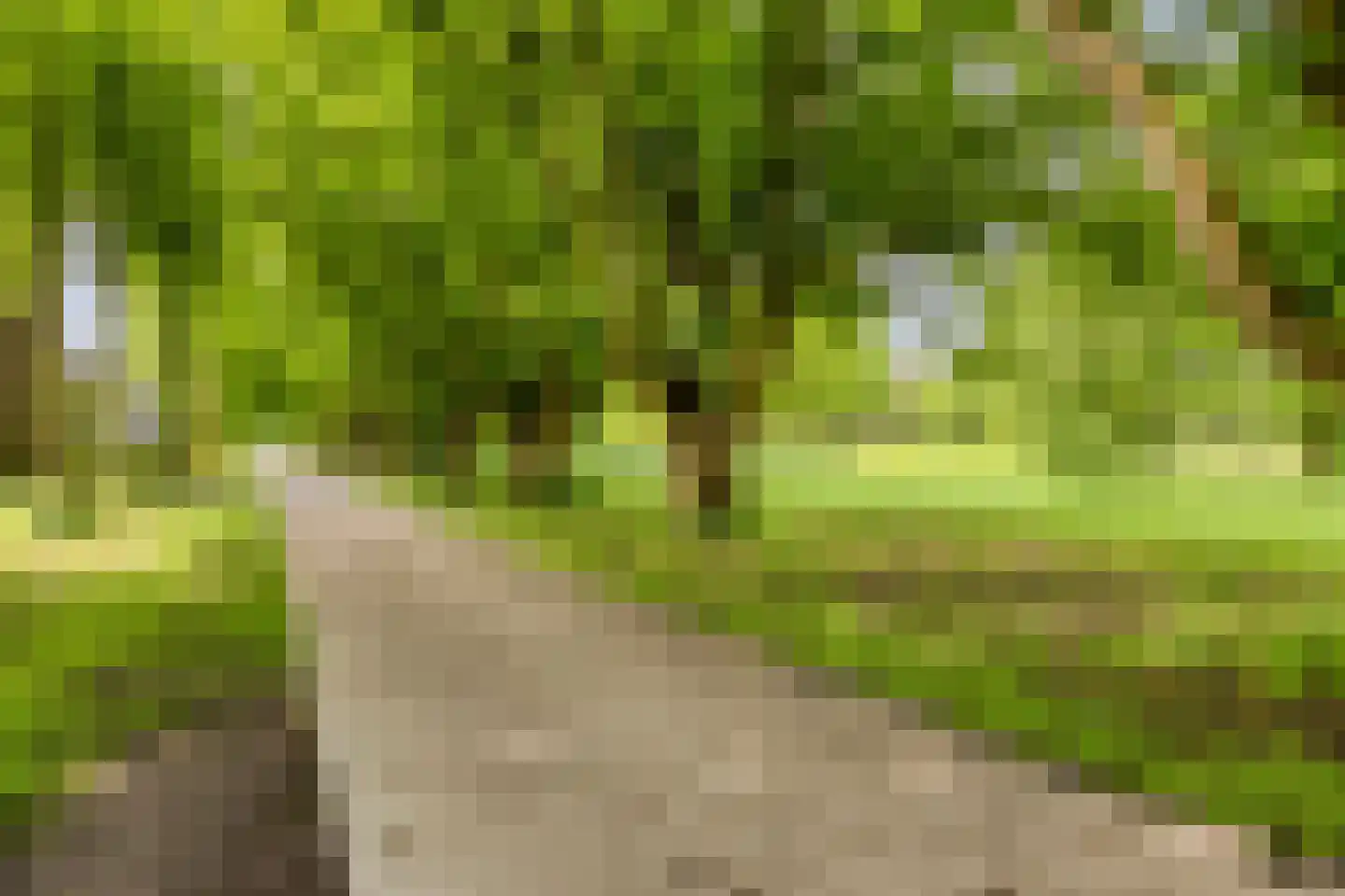 Telemannstraat 199 Zwolle thumbnail 36