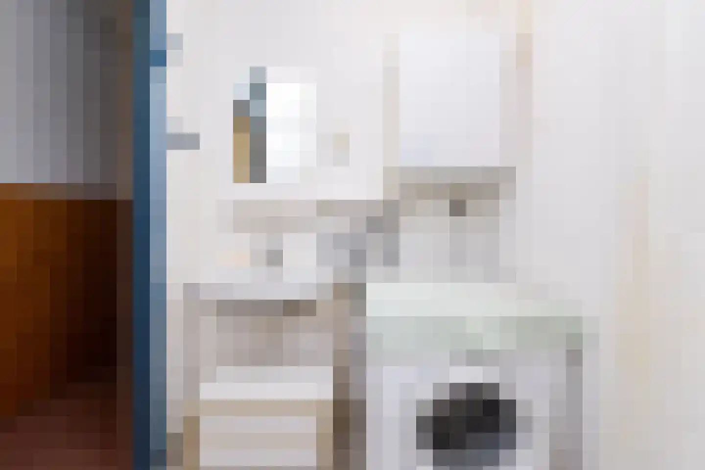 Telemannstraat 213 Zwolle thumbnail 16
