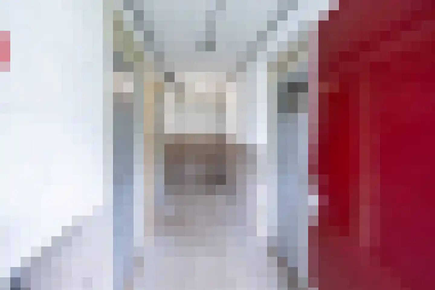 Telemannstraat 213 Zwolle thumbnail 20