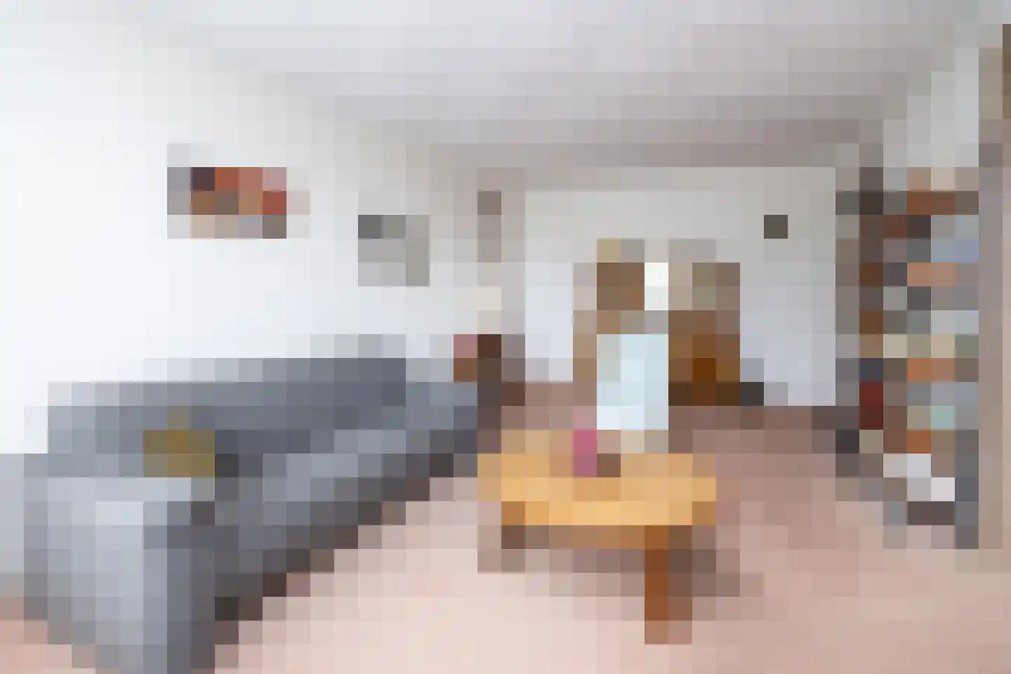 Telemannstraat 213 Zwolle thumbnail 8