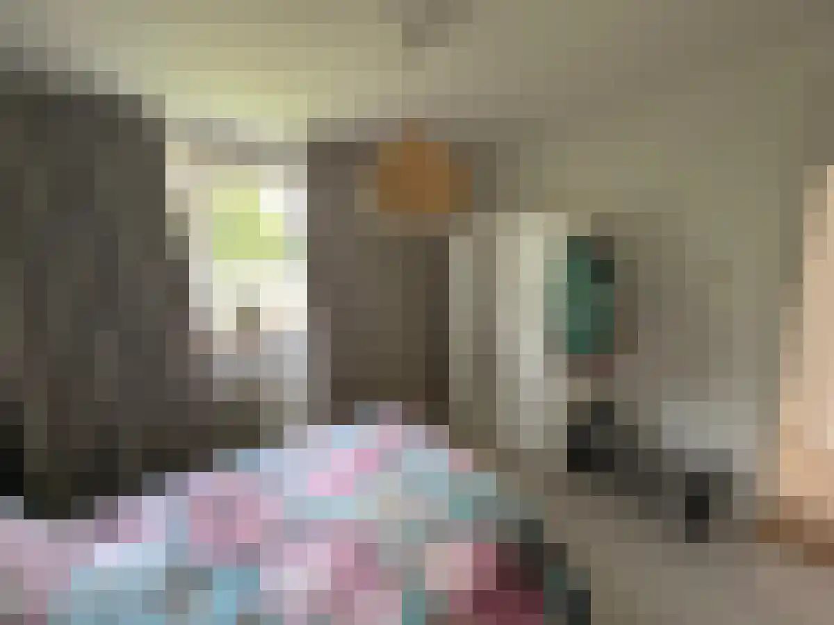 Telemannstraat 235 Zwolle thumbnail 4