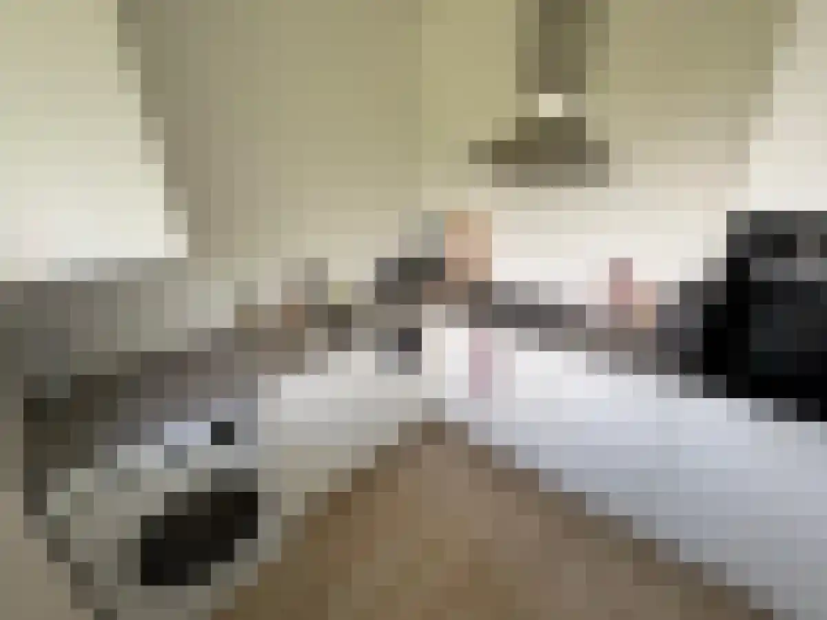 Telemannstraat 235 Zwolle thumbnail 5