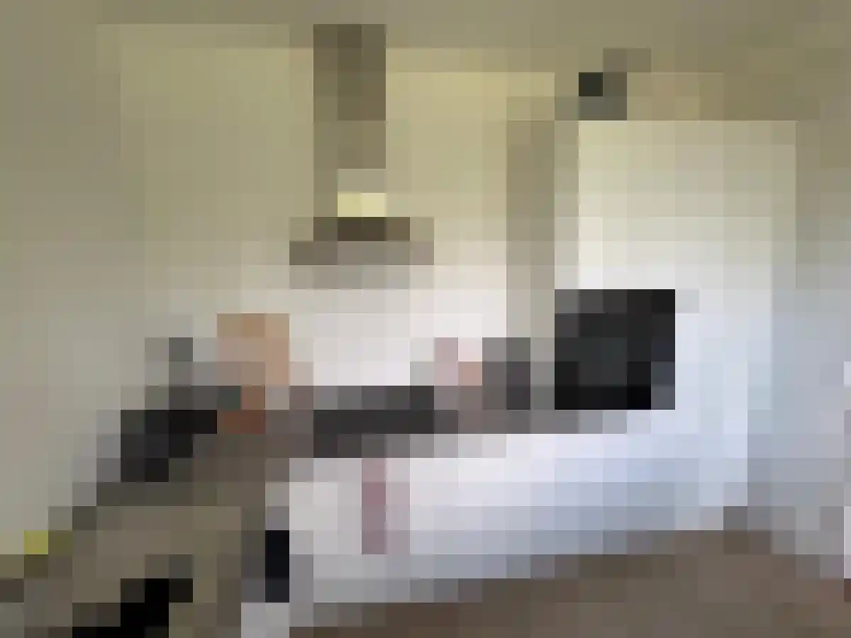 Telemannstraat 235 Zwolle thumbnail 6