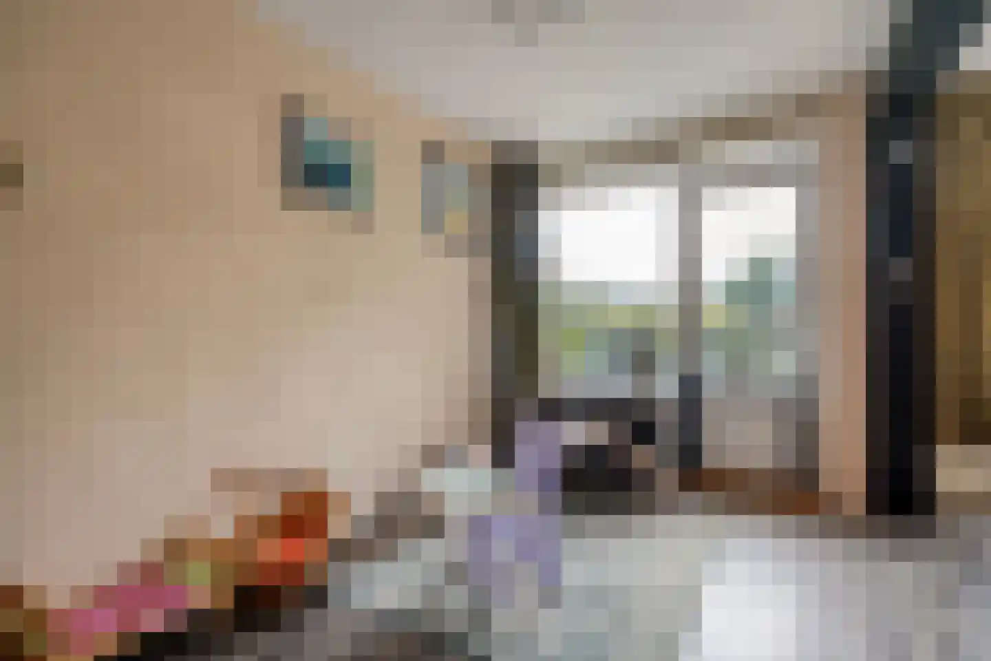 Telemannstraat 239 Zwolle thumbnail 20