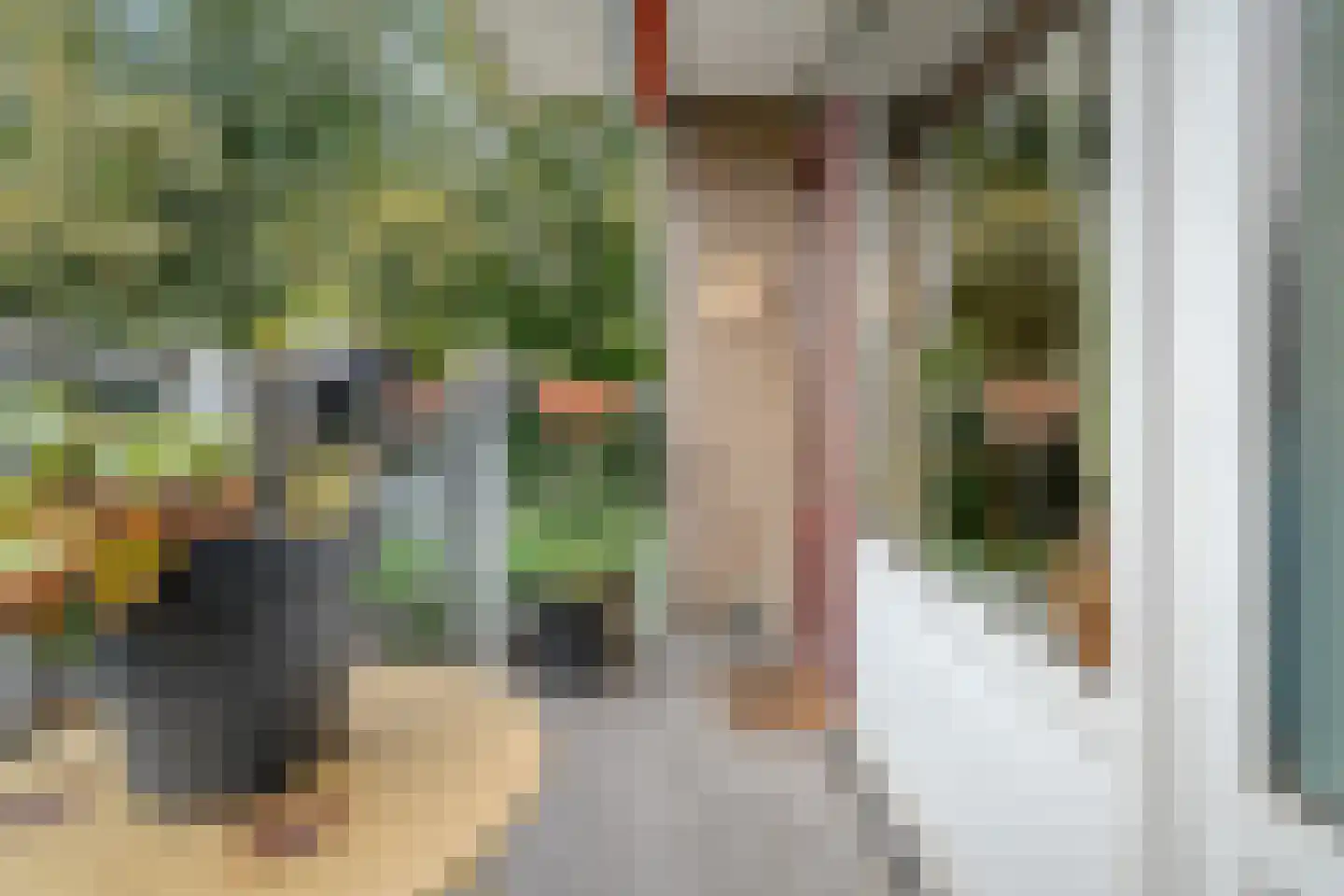 Telemannstraat 239 Zwolle thumbnail 38