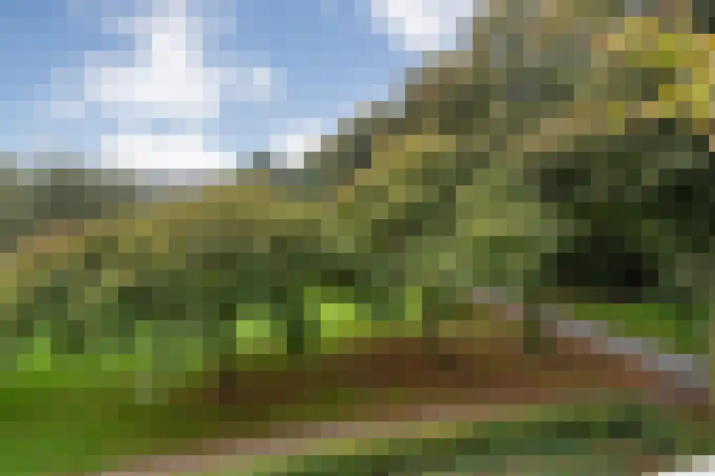 Telemannstraat 239 Zwolle thumbnail 39