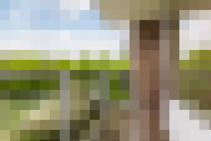 Telemannstraat 267 Zwolle thumbnail 10