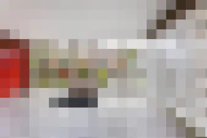 Telemannstraat 267 Zwolle thumbnail 23