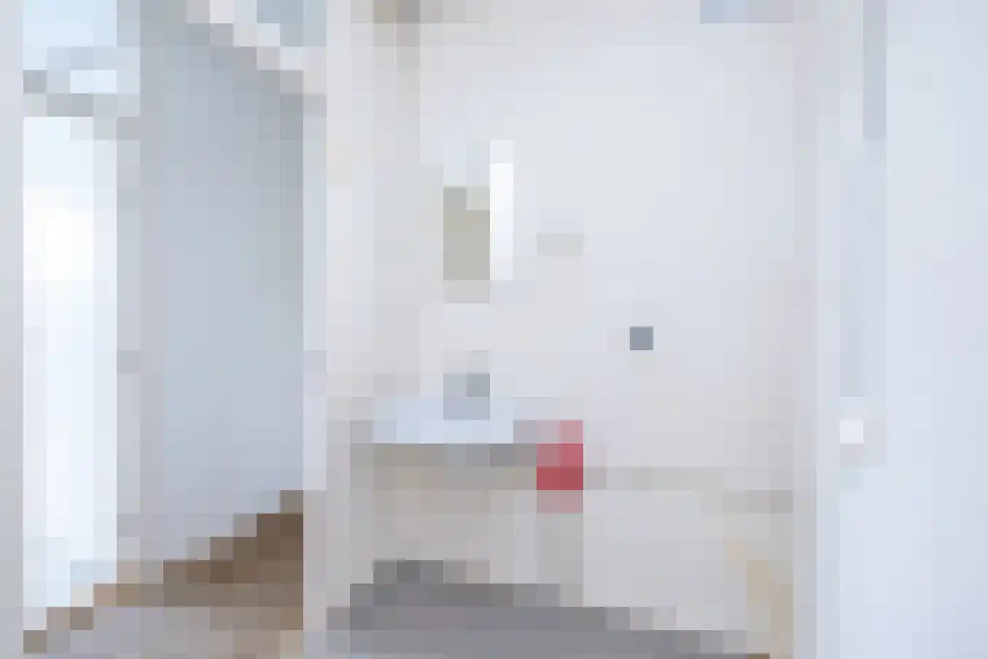 Telemannstraat 269 Zwolle thumbnail 22