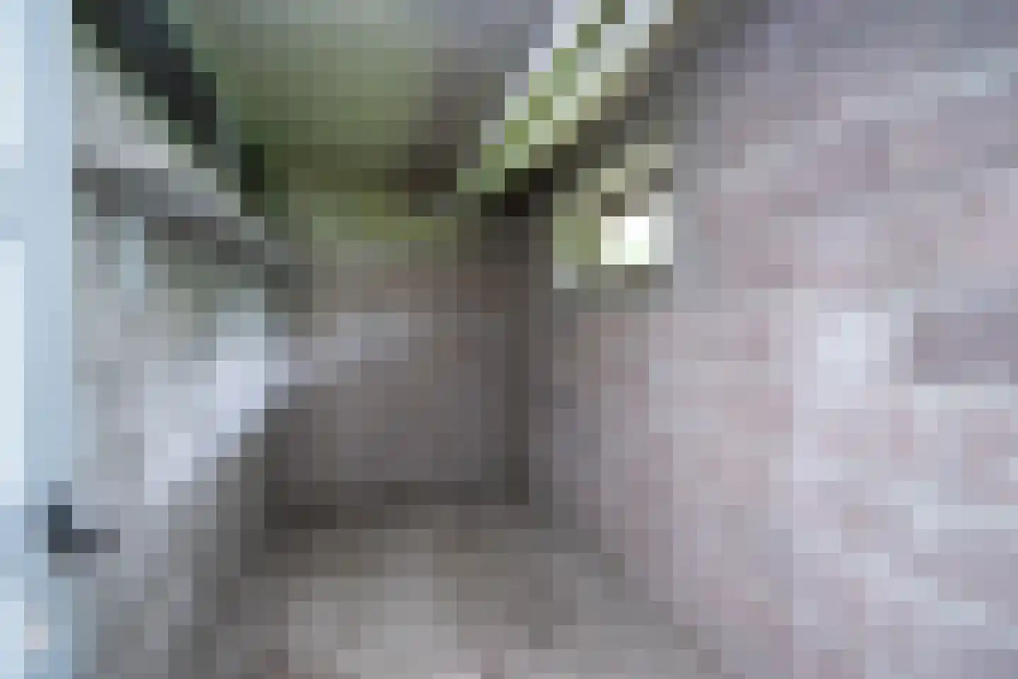 Telemannstraat 269 Zwolle thumbnail 27