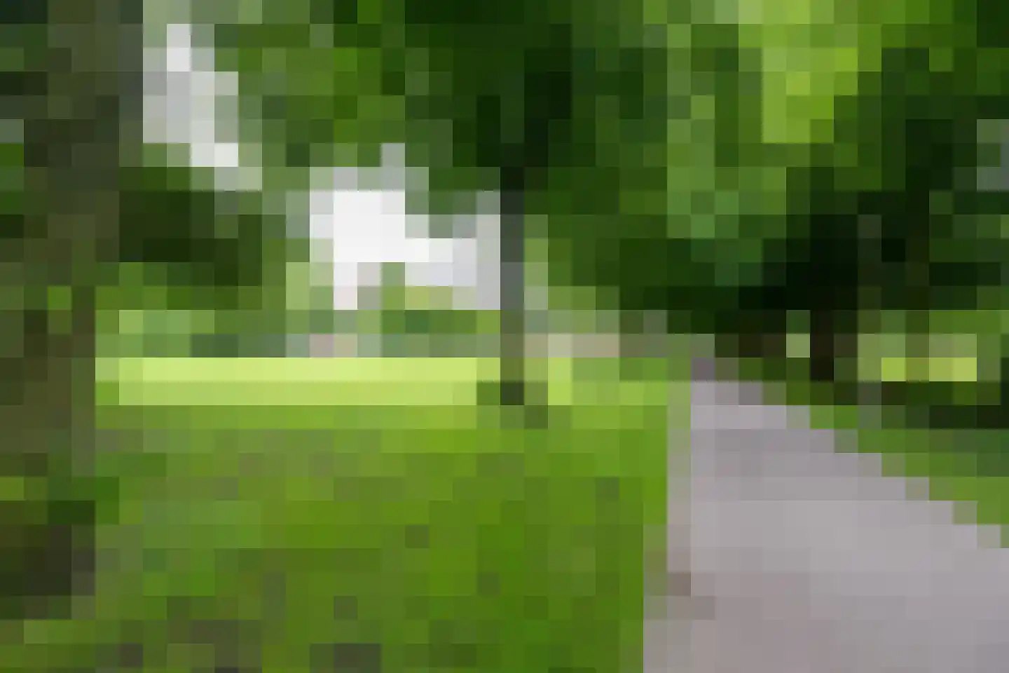 Telemannstraat 269 Zwolle thumbnail 29