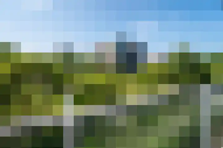 Telemannstraat 29 Zwolle thumbnail 20