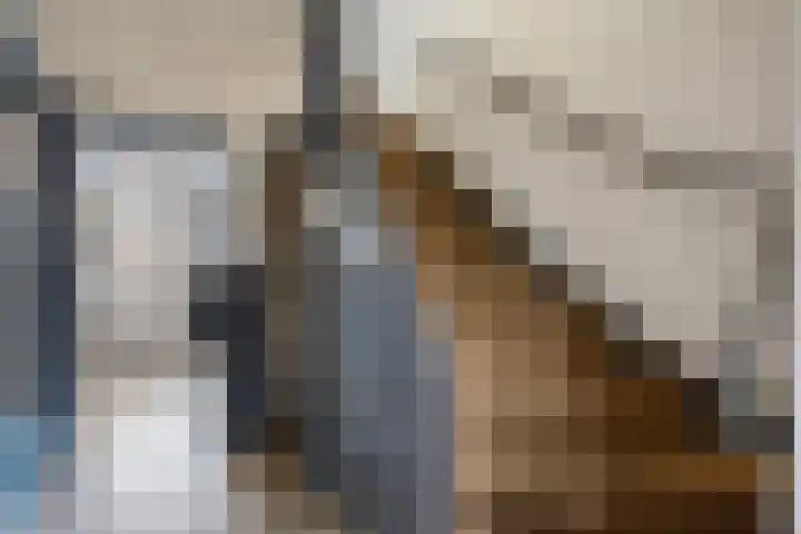 Telemannstraat 36 Zwolle thumbnail 10