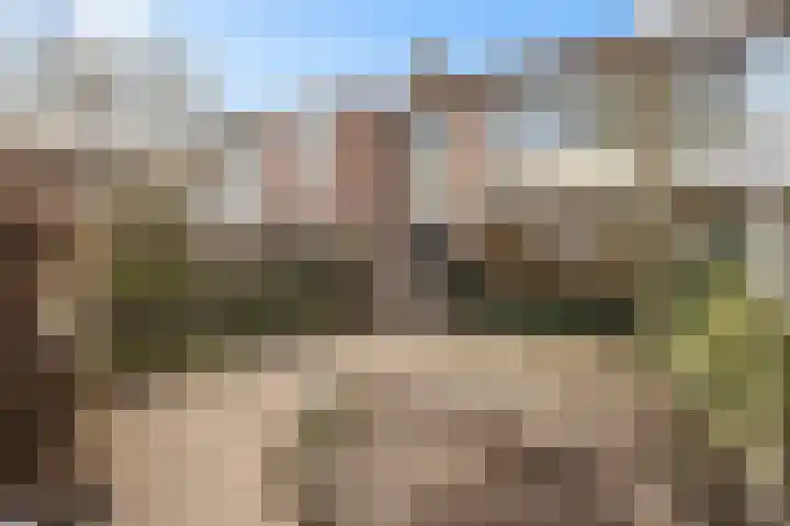 Telemannstraat 36 Zwolle thumbnail 14