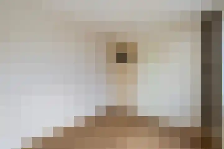 Telemannstraat 36 Zwolle thumbnail 20