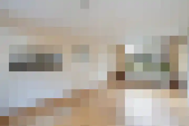 Telemannstraat 36 Zwolle thumbnail 4