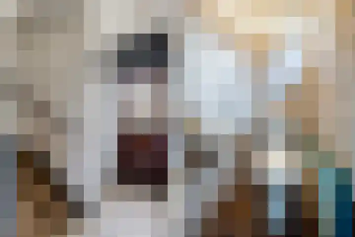 Telemannstraat 36 Zwolle thumbnail 9