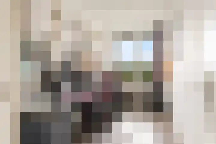 Telemannstraat 43 Zwolle thumbnail 31