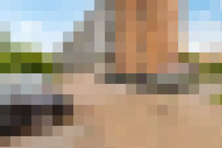 Telemannstraat 43 Zwolle thumbnail 34