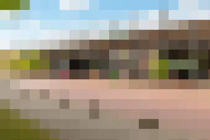 Telemannstraat 43 Zwolle thumbnail 42