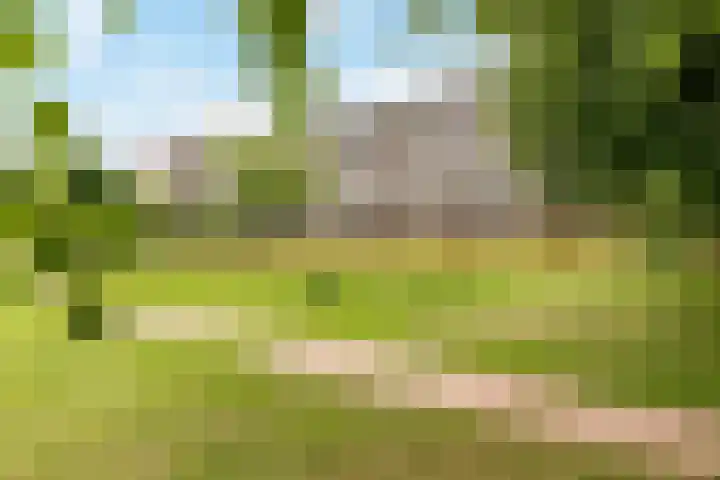 Telemannstraat 43 Zwolle thumbnail 7