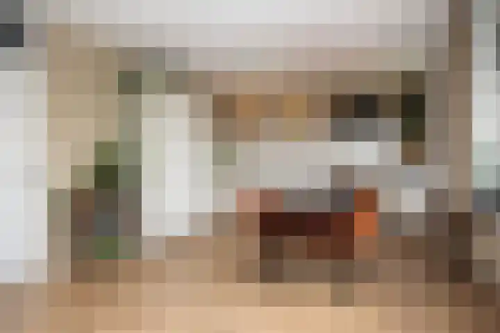 Telemannstraat 61 Zwolle thumbnail 10