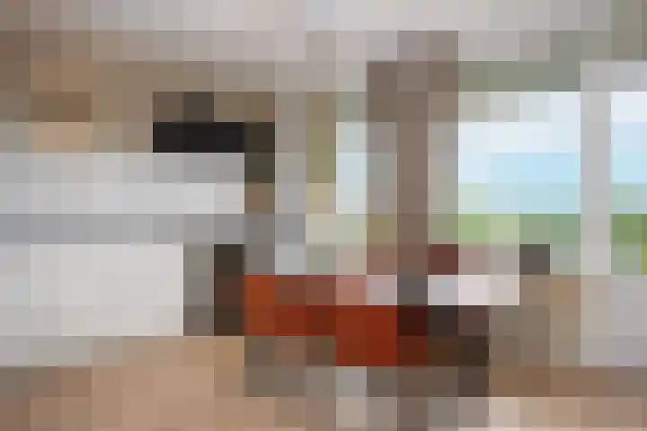 Telemannstraat 61 Zwolle thumbnail 11