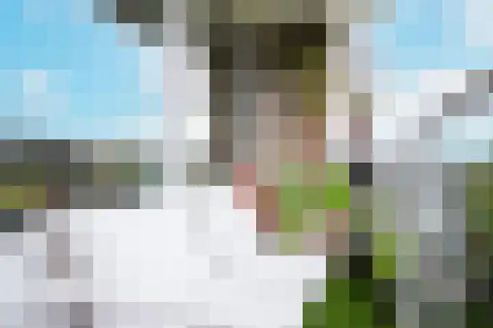 Telemannstraat 61 Zwolle thumbnail 13