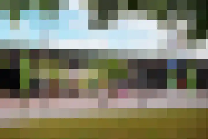 Telemannstraat 61 Zwolle thumbnail 31