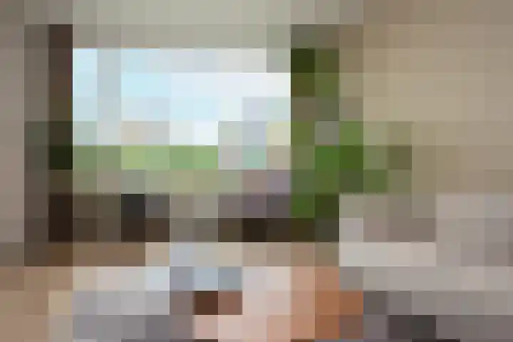 Telemannstraat 61 Zwolle thumbnail 5